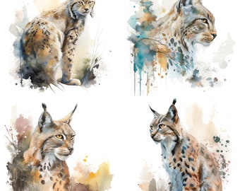 Watercolor Lynx Clipart Set of 4 - Commercial Use PNG Digital Downloads for Stickers, Mugs, and T-Shirts - Forest Wildlife Art