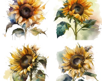 Sunflower Clipart set of 4 Watercolor clipart,Floral,Bouquets,Wedding,Flowers,Leaves,Graphic,PNG,Instant download Illustration set 1