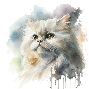 Watercolor White Persian Cat Portrait Clipart Set of 4 - Cat Graphics ...