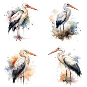 Stork Watercolor Clipart, watercolor Stork , set of 4 PNG files, Printable Digital Download, Sublimation, Stork clipart designs for crafts