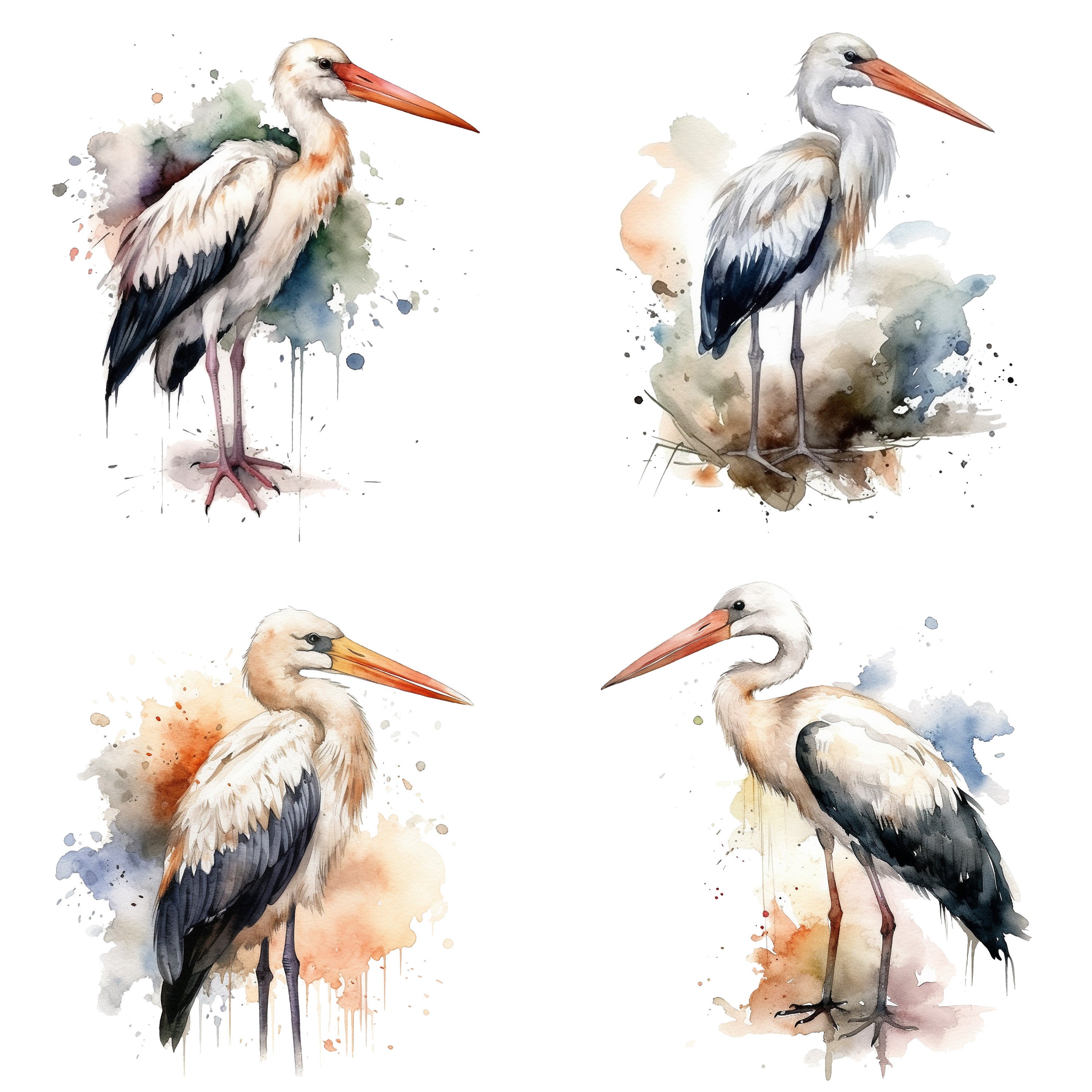 コウノトリの水彩画クリップアート、水彩画のコウノトリ、4つのPNG