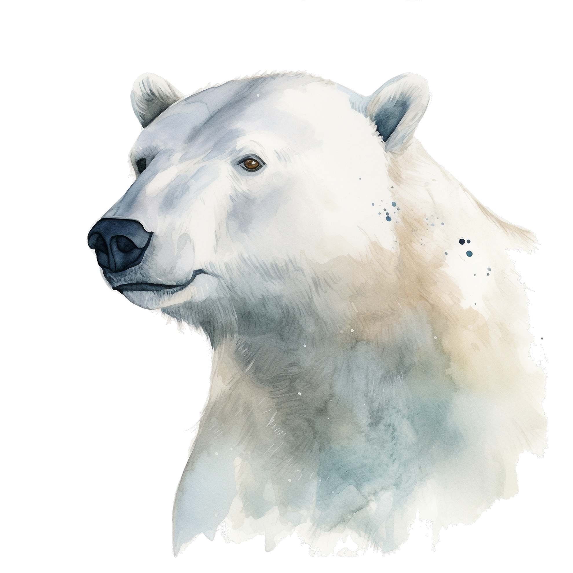 Set of 4 Watercolor Polar Bear Clipart Files Polar Bear Sublimation PNG ...
