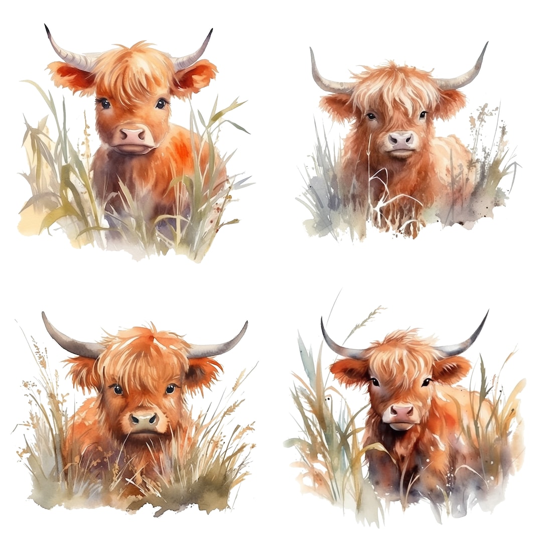 Watercolor Baby Highland Cow Clipart - 4 High Quality Pngs - Watercolor ...