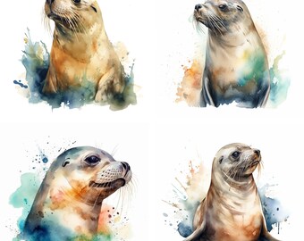Imágenes prediseñadas de focas en acuarela, descargas digitales, imágenes prediseñadas de focas, león marino PNG, arte mural de focas, focas en acuarela, diseños de sublimación de vida marina V1
