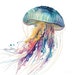 Watercolor Jellyfish Clipart Set of 4 Sea Life Art for Scuba - Etsy