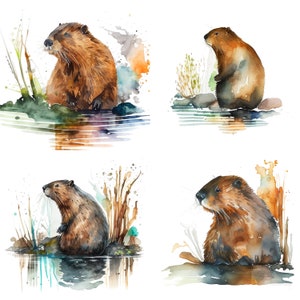 Beaver Set of 4 Watercolor Clipart - Commercial Use PNG Download for Stickers, Mugs, T-Shirts, and Decor - Nature Wildlife Digital Art