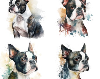 Set of 4 Watercolor Boston terrier Portrait Clipart -  Dog Lover Canine Art - Commercial Use Bundle - Digital Download PNG Stickers