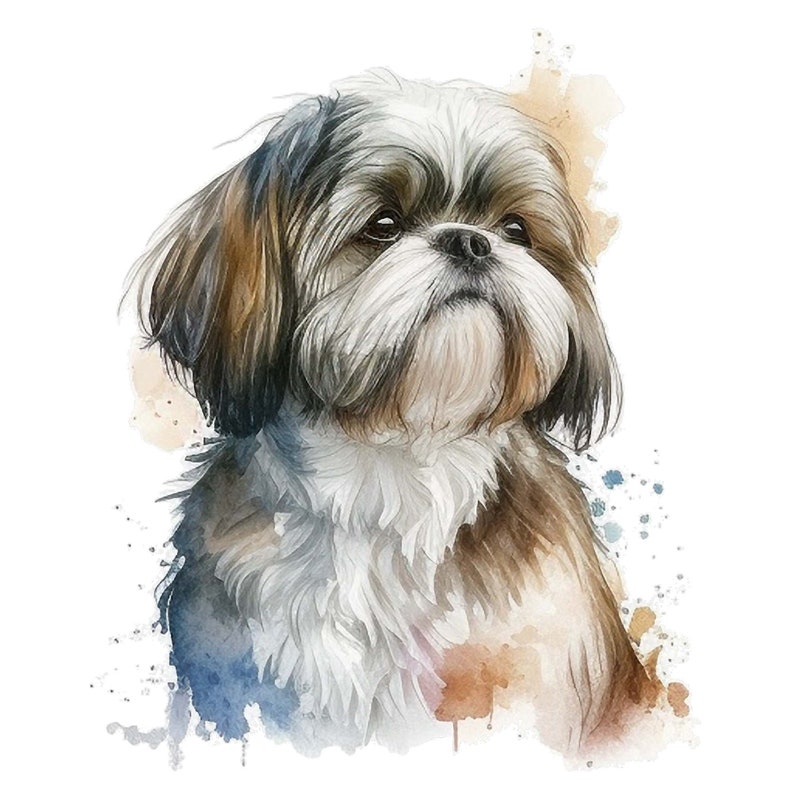 Watercolor Shih Tzu Portrait Clipart PNG Digital Download Set for 4 ...