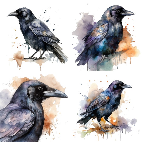 Crow Watercolor Clipart, Crow Watercolor, Crow Clipart PNG, Printable Digital Download, Sublimation, Raven clipart, Gothic crow V2