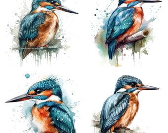 Kingfisher Clipart - Watercolor clipart High Quality PNGs - Set of 4 Digital Download Card Making, Clip Art, Digital Paper Craft V2