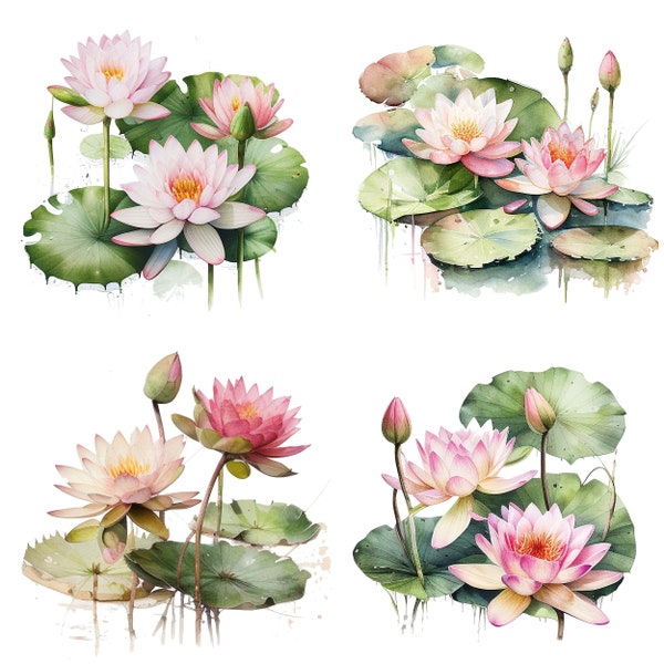 Pink Water Lily Watercolor Water Lily Pink Water Lily Clipart Watercolor PNG Creative floral art design transparent Background download