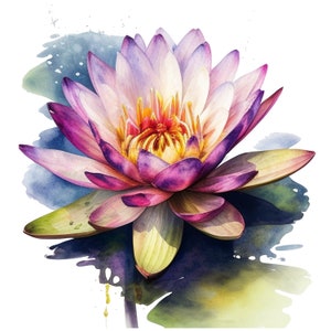Water Lily Watercolor Clipart Purple Water Lily Flower Clipart Watercolor PNG Digital downloads floral art design transparent Background