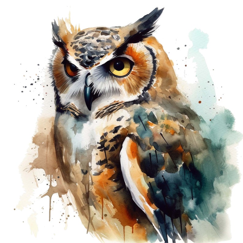Washed Owl Owl Clipart,watercolor Clipart, Set of 4 Png Bundle, Printable Digital ...