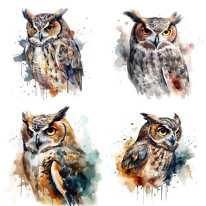 Owl Clipart,Watercolor clipart, set of 4 png bundle, Printable Digital Download, Sublimation, Owl collectors gift