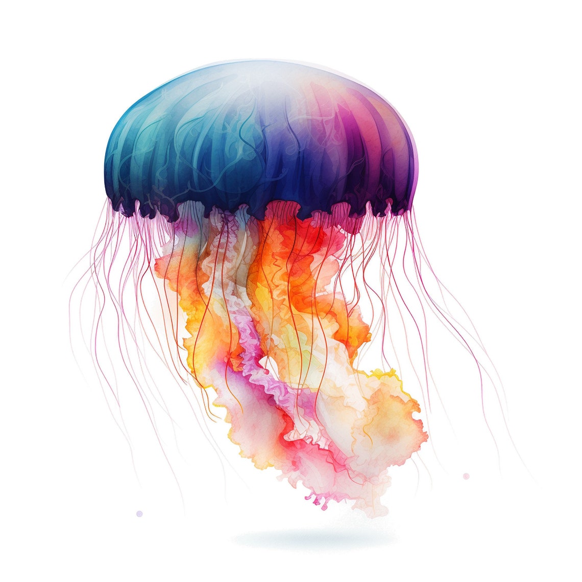Watercolor Jellyfish Clipart, Digital Download for Marine Life Art ...