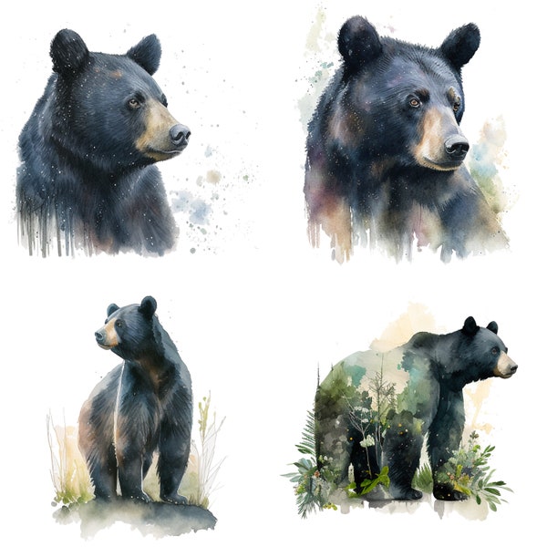 Black Bear Set of 4 Watercolor Clipart -  PNG Digital  Download for Stickers, Mugs, T-Shirts, and Decor - Forest Wildlife Digital Art V1