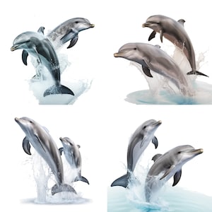 May include: Four dolphins leap out of the water, creating splashes of water. The dolphins are gray and white and have sleek bodies. The background is white.