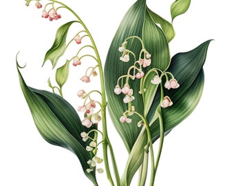 Clipart fleurs de muguet en couleurs usée FLOWER CLIP ART Lot de 4 fleurs vintage en téléchargement numérique Illustration florale mariage artisanat Collages