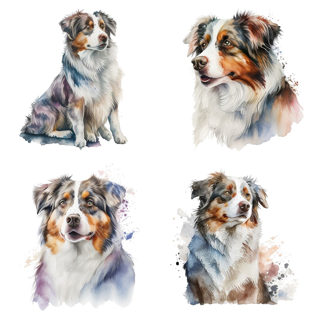 Watercolor Australian Shepherd Portraits Set Clipart Bundle Etsy