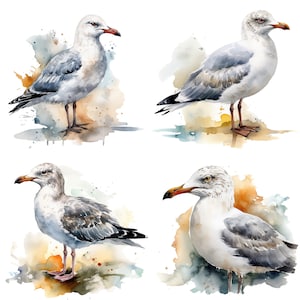 Seagull Watercolor Clipart - Printable Digital Download for Sublimation and Crafting