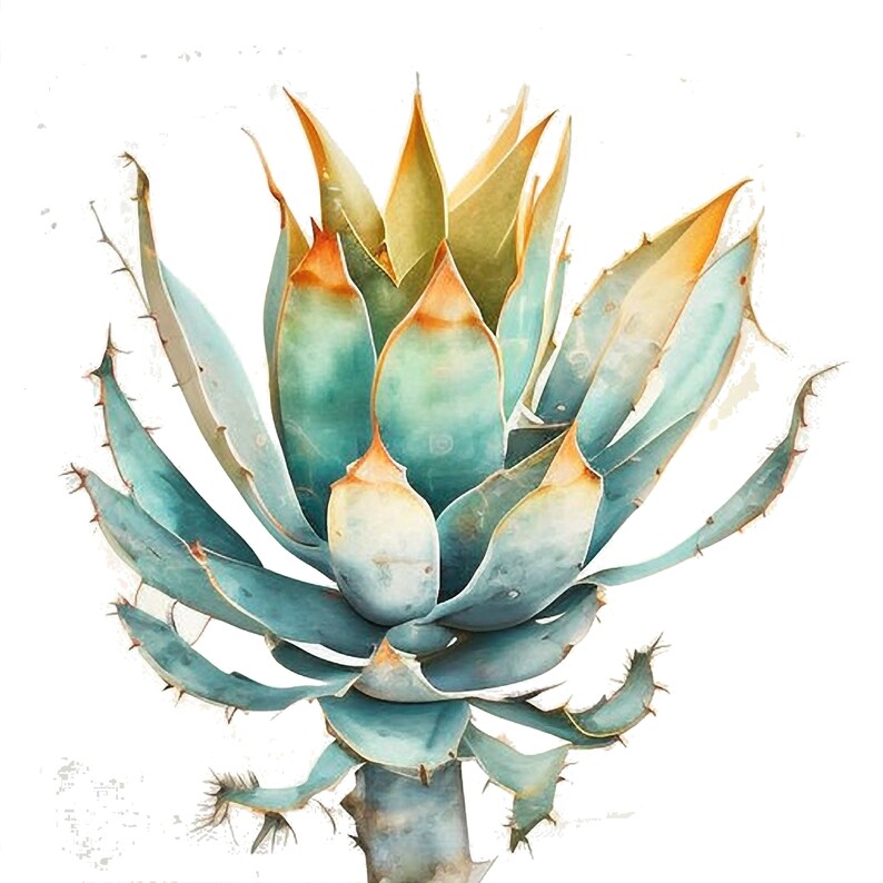 Agave Art Succulent Printable Art Agave Decor PNG Succulent - Etsy