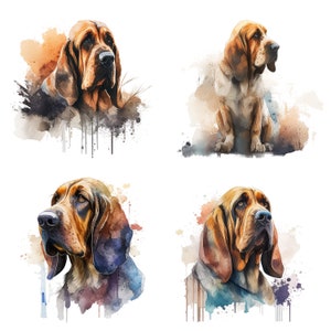 Set of 4 Watercolor Bloodhound Clipart - Hunting Dog Lover Canine Art - Commercial Use Clipart Bundle - Digital Download PNG Stickers