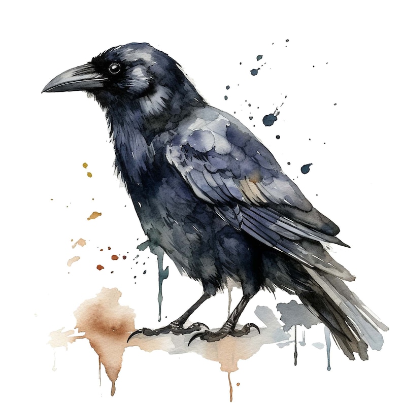 Splattered Crow Crow Watercolor Clipart, Crow Watercolor, Crow Clipart PNG, Printable ...