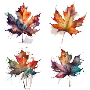 Herbst Aquarell Clipart Set - Set von 4 Maple Leaf Illustration Dateien in transparentem PNG Digital Download, Scrapbooking und Planner Set 2