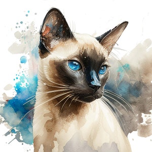 Op de afbeelding: Een aquarel schilderij van een Siamese kat met blauwe ogen. De kat kijkt naar rechts van het frame. De achtergrond is een lichtblauwe aquarel was.