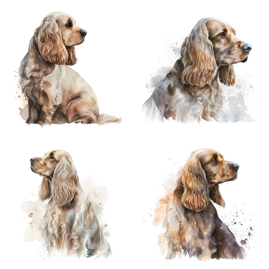 Watercolor Cocker Spaniel Pet Portrait Clipart Set Commercial Use PNG