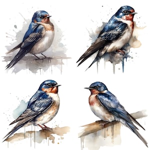 Swallow Clipart - acquerello clipart Set di 4 PNG di alta qualità - Digital Download Card Making, disegni di tazze, Paper Craft, Planner design