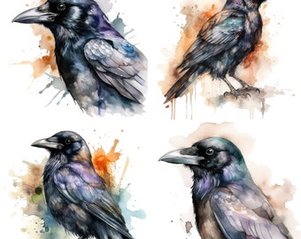 Crow Watercolor Clipart, Crow Watercolor, Crow Clipart PNG, Printable Digital Download, Sublimation, Crow clipart, Gothic crow V1