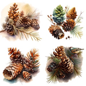 Watercolor Pine Cones Clipart Set of 4 | Hand Painted Pine Cones | Christmas Woodland Nature | High-Quality PNG Download set 1