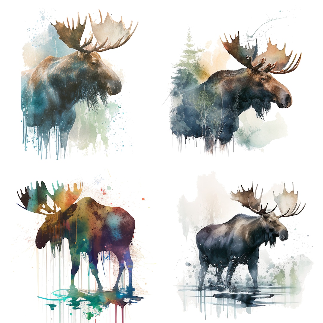 Watercolor Moose Clipart Set of 4 - Commercial Use PNG Digital ...