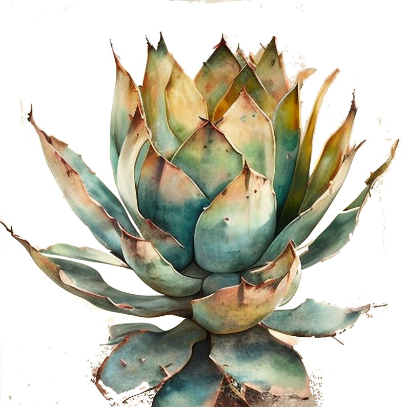 Agave Art Succulent Printable Art Agave Decor PNG Succulent - Etsy