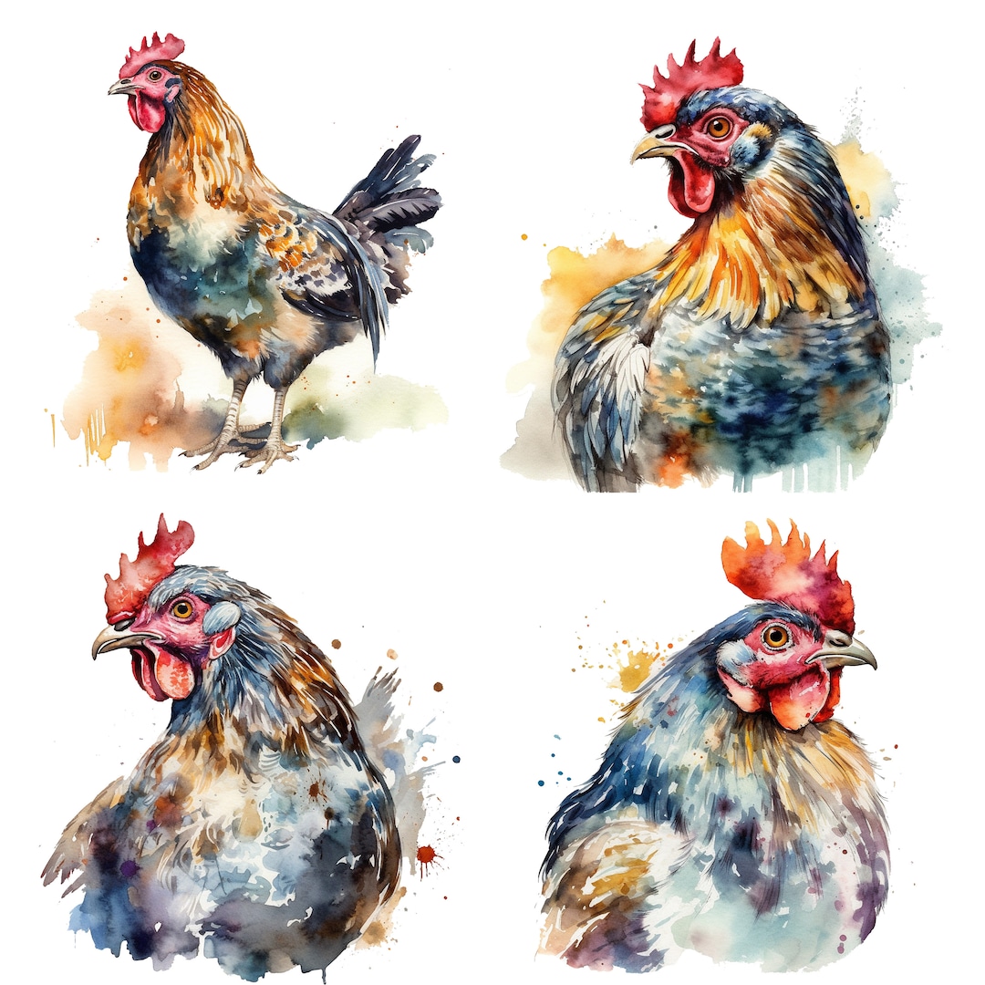 Fancy Chicken Clipart - Watercolor Clipart Chicken Bundle Pngs - Set of ...