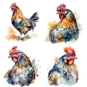 Fancy Chicken Clipart - Watercolor clipart Chicken Bundle PNGs - Set of 4 Digital Download Card Making, Clip Art, Digital Paper Craft