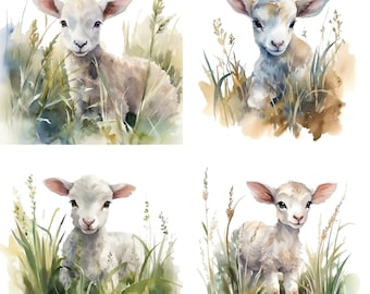 Baby Lamb Clipart - 4 Hoge kwaliteit PNGs - Aquarel clipart Scrap Books Digital Paper Craft Mugs T-Shirts, Mixed Media Instant Download V1