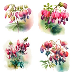 May include: Four watercolor paintings of pink and purple flowers with green leaves and stems. The flowers are in bloom and have a delicate, romantic feel.