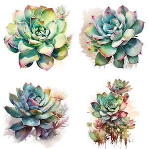 set of 4 Watercolor Succulent Clipart, Succulents Clipart, Watercolor Clipart, Foliage, Cactus Clip art, Cacti Clipart, Plants