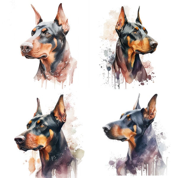 Aquarelle doberman pinscher Pet Portrait Clipart ensemble de 4 téléchargements PNG à usage commercial pour autocollants tasses et T-Shirts chien amoureux Canine Art