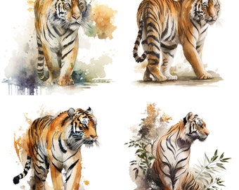 Bengal Tiger Set of 4 Watercolor Clipart -  PNG Digital  Download for Stickers, Mugs, T-Shirts, and Decor - Safari Wildlife Digital Art
