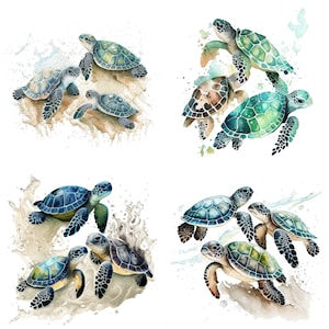 Baby Sea Turtle Watercolor Clipart Set of 4 Digital Download Baby sea turtle PNG for Sublimation for mugs shirts and Wall decor set 1