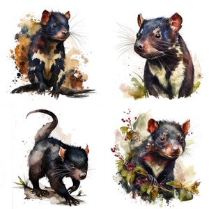 Tasmanischer Teufel Aquarell Clipart 4er Set - Kommerzielle Nutzung PNG digitale Downloads für Aufkleber, Tassen und T-Shirts - Wildtiere Drucke