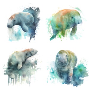 Manatee Clipart set of 4 Watercolor Sea Creatures Download sea cow manatee pride Instant Download Watercolor Cute Happy Manatees PNG files