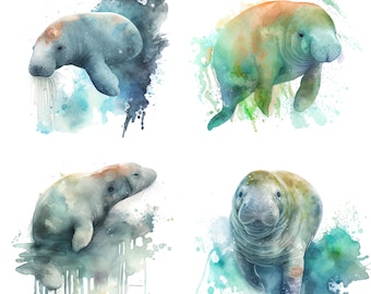 May include: Four watercolor paintings of manatees, each with a different pose and color scheme. The manatees are depicted in a whimsical style with splashes of blue, green, and orange watercolor.