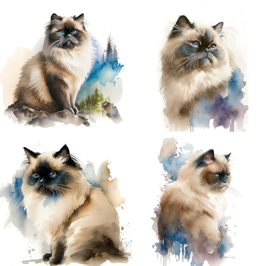 Himalayan Ragdoll Cat Portrait Clipart WATERCOLOR Set of 4 Pet Clipart ...