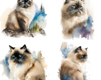 Himalaya Ragdoll kat portret clipart aquarel set van 4 huisdier clipartbestanden kat voor mok kat graphics bundel illustraties kattenliefhebbers cadeau