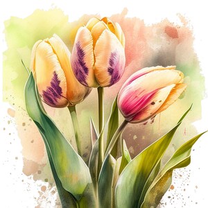 Spring Tulip Flower Bouquet Watercolor Botanical Clipart Print Set of 4 ...
