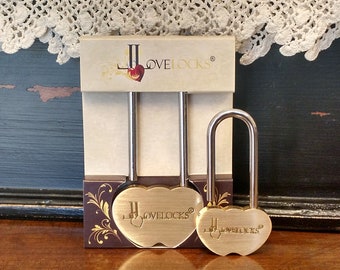 LoveLocks Petite Solid Brass Love Lock Double Heart Padlock, Wedding Padlock, Love Padlock, Wish Lock, Engraved Padlock, Wedding Lock